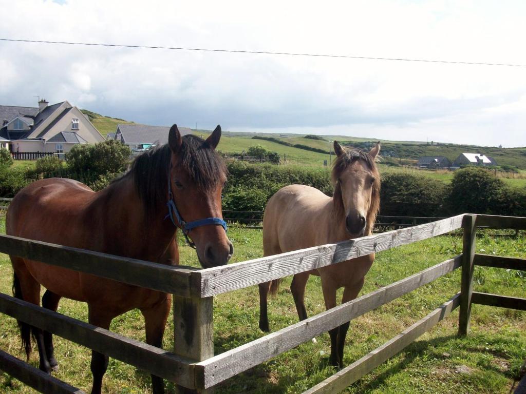 O'Connor'S Accommodation Doolin Eksteriør bilde