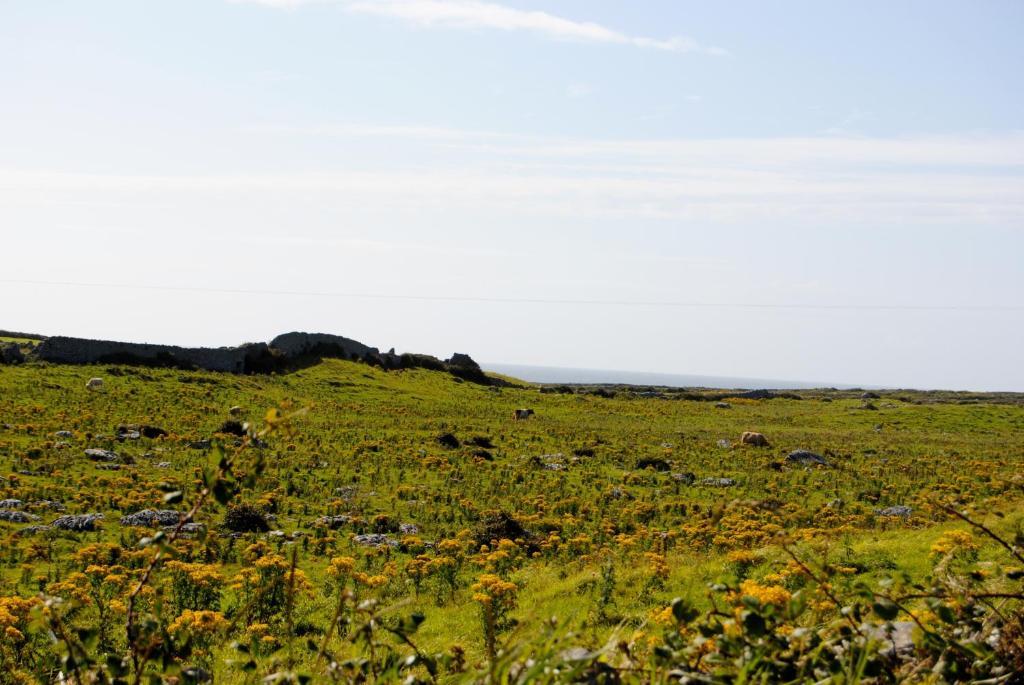 O'Connor'S Accommodation Doolin Eksteriør bilde